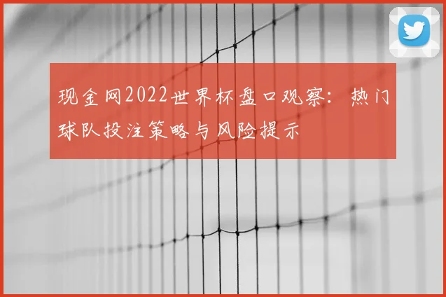 现金网2022世界杯盘口观察：热门球队投注策略与风险提示