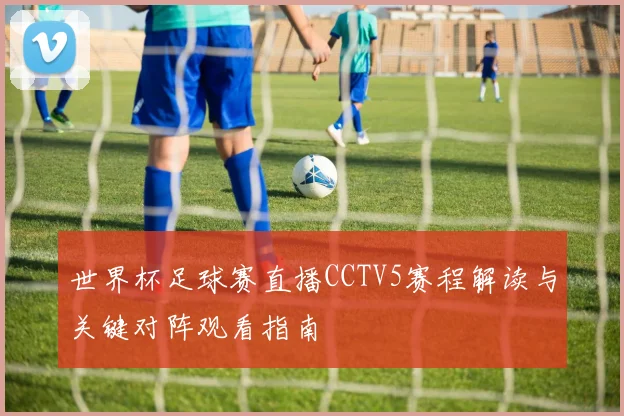 世界杯足球赛直播CCTV5赛程解读与关键对阵观看指南
